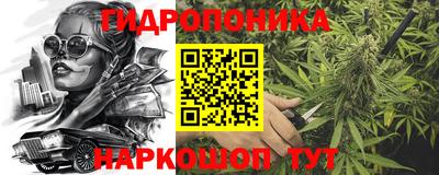 ешки Новокубанск