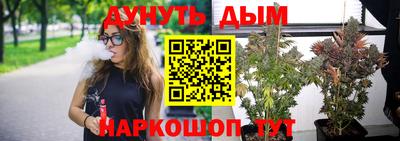 таблы Новозыбков